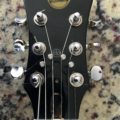 Pignose with String Butler headstock